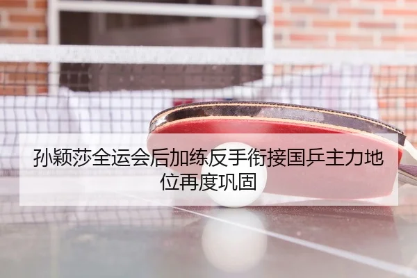 孙颖莎全运会后加练反手衔接国乒主力地位再度巩固 - huobosports